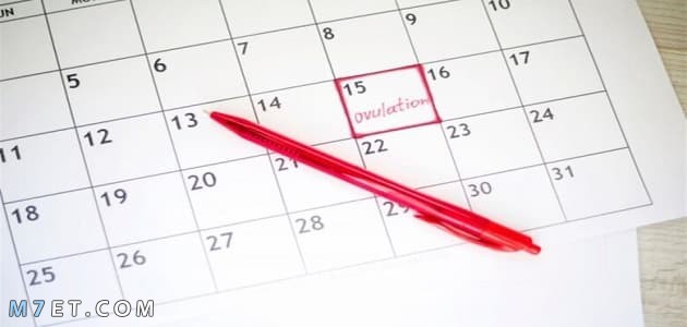 Table of ovulation days for pregnancy with a boy Ovulation days for pregnancy with a boy 1 Picture No. 3 Schedule of ovulation days to conceive a boy