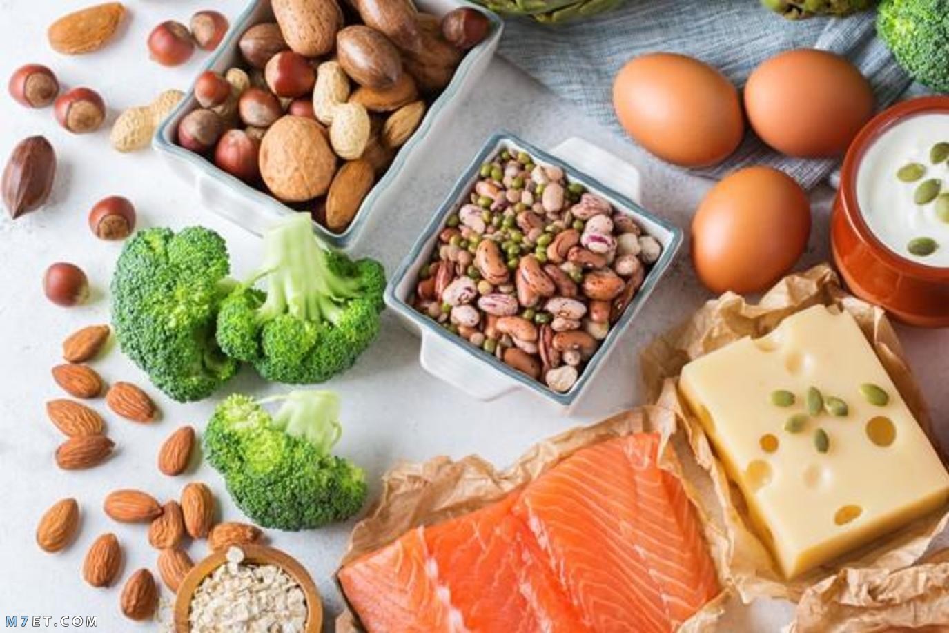 The body’s need for protein and its damage when the body lacks protein 3 Picture No. 2 The body's need for protein