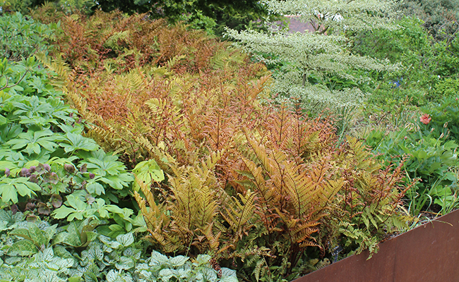 A sustainable and circular garden