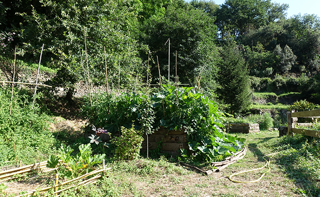 Shared gardens of Aiguebelle in Saissac in Aude