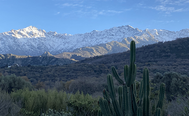 View of the Fruit Botanical Garden of Avapessa 