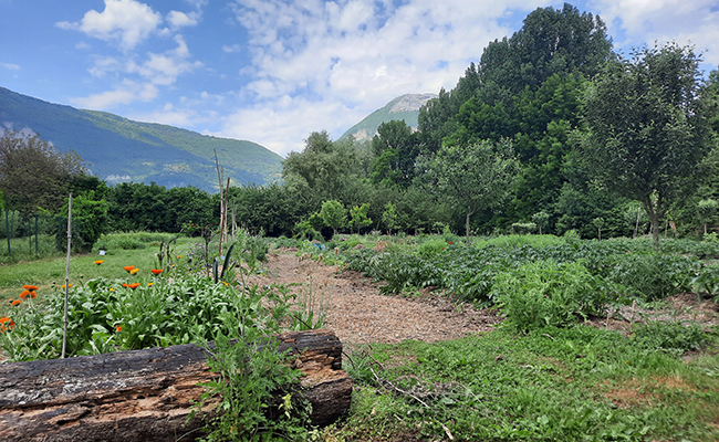 Grenoble Alpes Métropole educational garden to raise awareness among schoolchildren