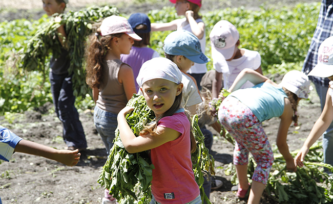 children at the Grenoble Alpes Métropole Educational Garden (38)
