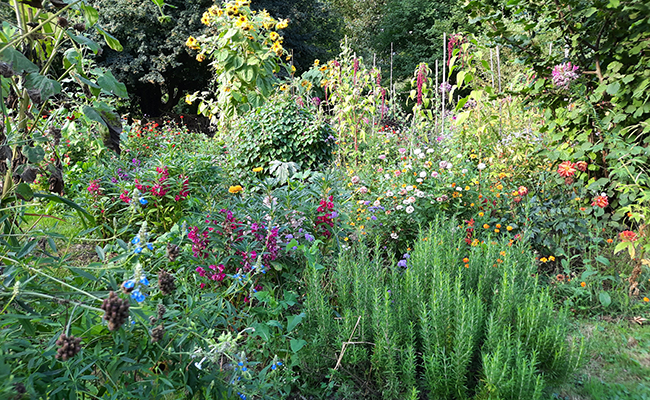 Educational garden Grenoble Alpes Métropole (38): favorite Rendez-vous aux jardins 2022