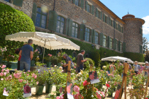 27th Festival of Plants at the Château de Chavaniac-Lafayette (43)