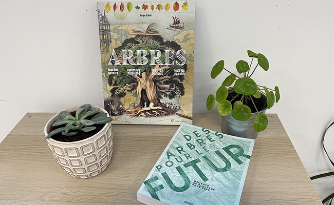 Trees in the spotlight in bookstores