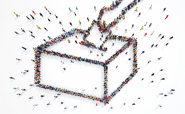 Departments and regions: skills that concern gardeners