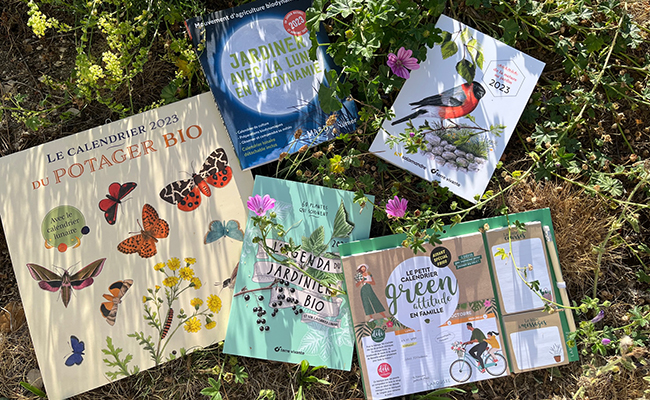 It's back to school: your 2023 calendars and diaries are here!