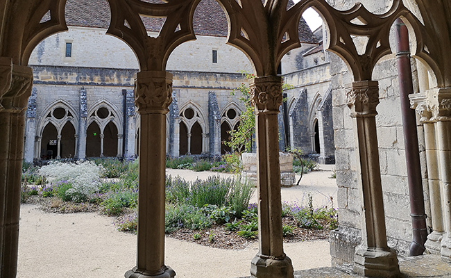 Cloister garden with its medicinal and condiment plants