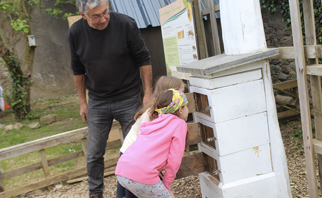 educational hive in the intergenerational garden