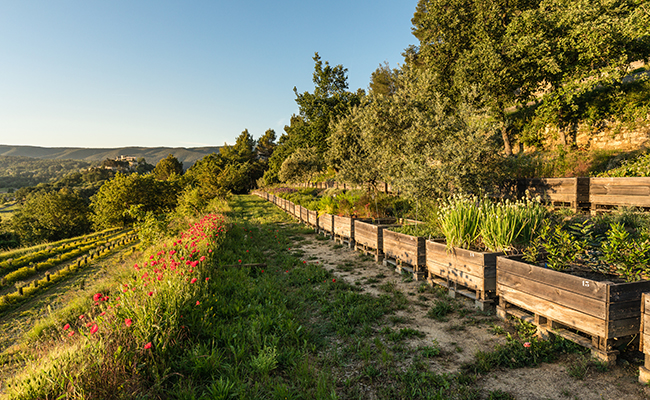 The Citadel Botanical Garden