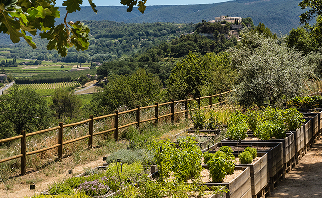 Yves Rousset-Rouard, creator of the biotanic garden of the Citadel
