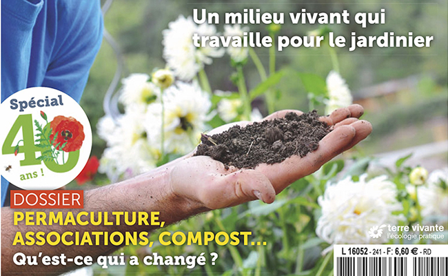 The 4 Seasons: special issue 40 years 