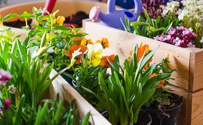 Prepare your spring stews