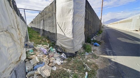 Fruits and vegetables for all of Europe are grown in greenhouses in Andalusia, in the so-called "Sea of ​​plastic" (Photo: IMAGO, IMAGO / Hollandse Hoogte)