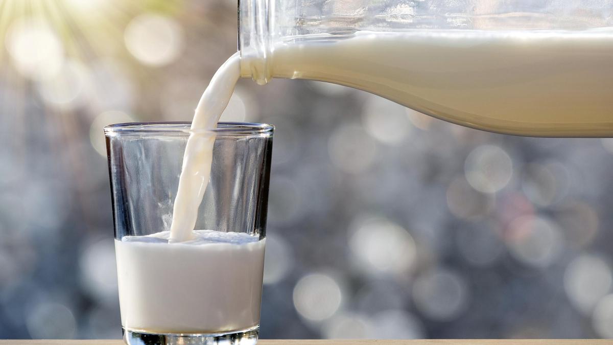 Nutrition: The subliminal culture war over cow’s milk