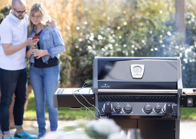 Grilling is becoming more feminine: Trends around grill and burner | Nutrition