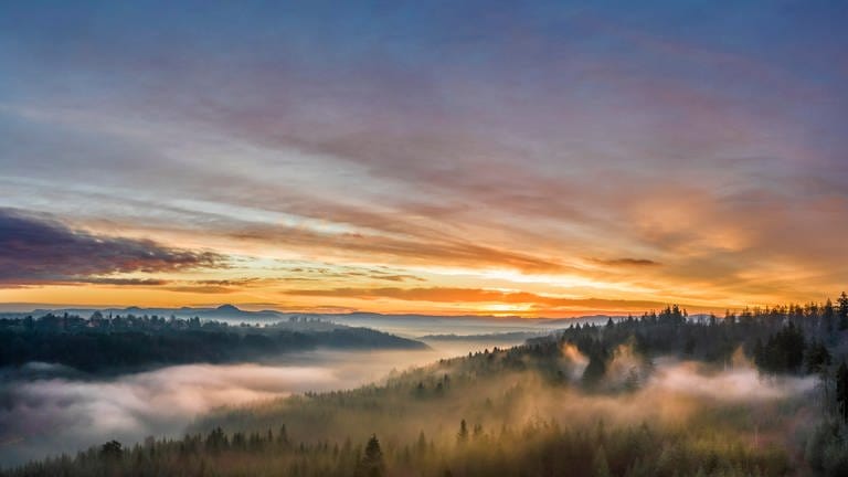 The sun rises over the Black Forest - Image for the newsletter of SWR Aktuell BW