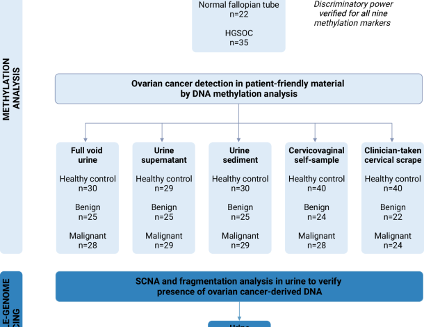 Molecular analysis for ovarian cancer detection in patient-friendly samples