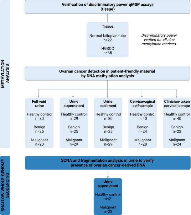 Molecular analysis for ovarian cancer detection in patient-friendly samples