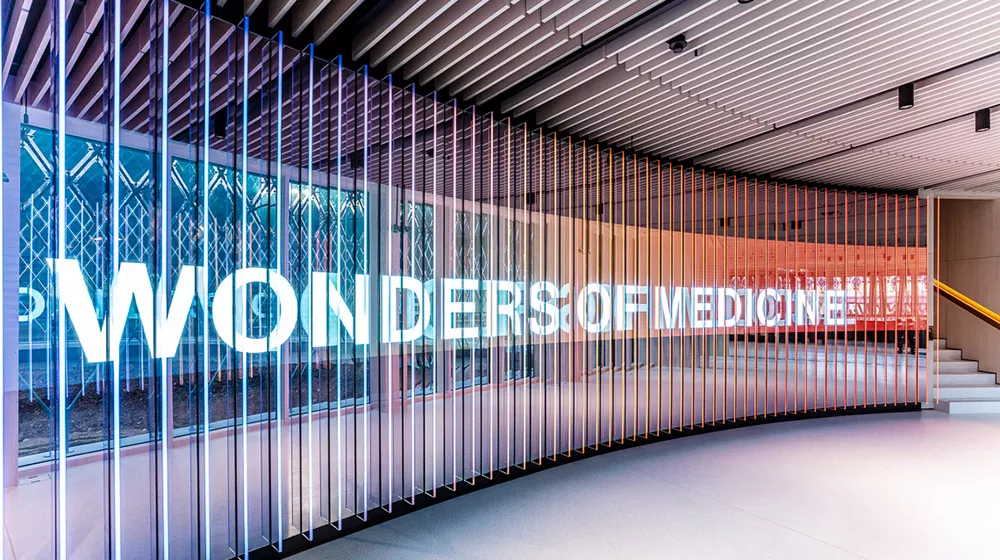 The multimedia exhibition «Wonders of Medicine»