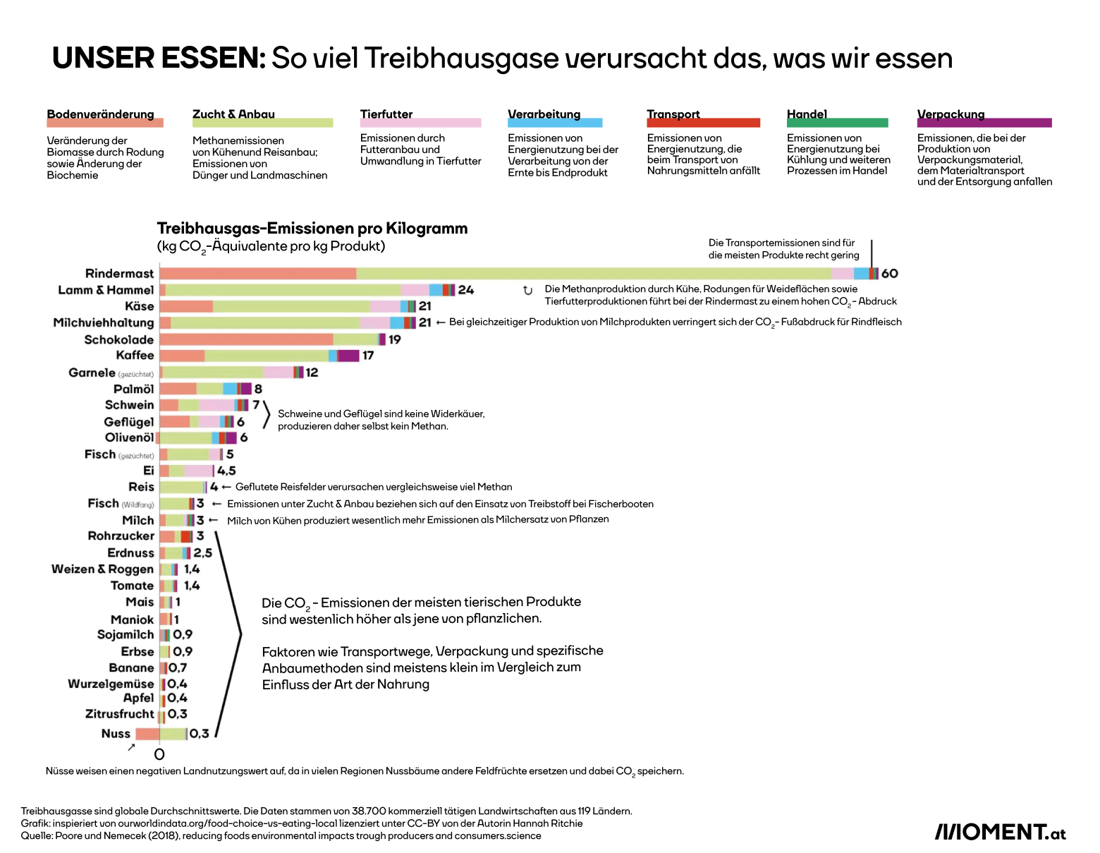 The graphic shows the CO2 emissions of different foods per kilogram. Animal products tend to cause more CO2 than plant-based ones. This is led by cattle fattening, lamb & mutton, cheese, dairy farming, chocolate, coffee, shrimp, palm oil, pork and other products, as well as apples, citrus fruit and nuts. The latter even have a negative balance. 