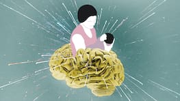 During pregnancy the brain also changes.