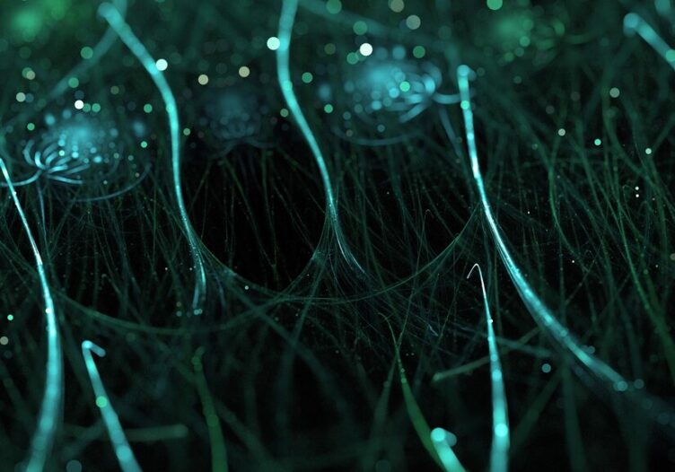 Insights into neural stem cell research » BRAIN AND PATH » SciLogs