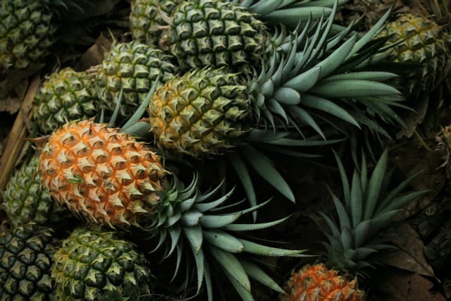 Flying pineapples are very harmful to the climate